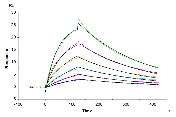 Biotinylated Human CD3E&CD3D/CD3 epsilon&CD3 delta Protein (CD3-HM505B)