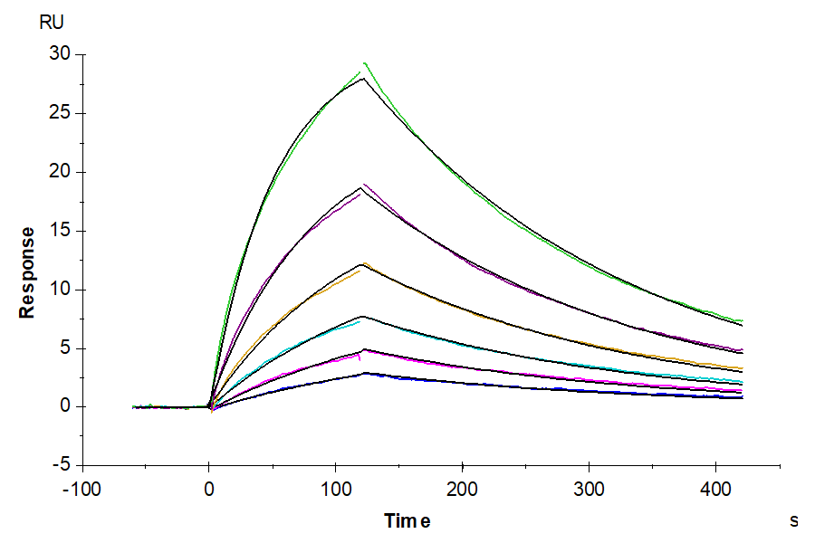 Biotinylated Human CD3E&CD3G/CD3 epsilon&CD3 gamma Protein, Ultra Low Endotoxin (CD3-HM557B-UL)