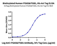 Biotinylated Human Integrin alpha 5 beta 1 (ITGA5&ITGB1) Heterodimer Protein (ITG-HM451B)
