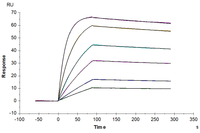 Human ALK-7/Activin RIC Protein, Ultra Low Endotoxin (ALK-HM107-UL)