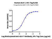 Human ALK-7/Activin RIC Protein, Ultra Low Endotoxin (ALK-HM207-UL)