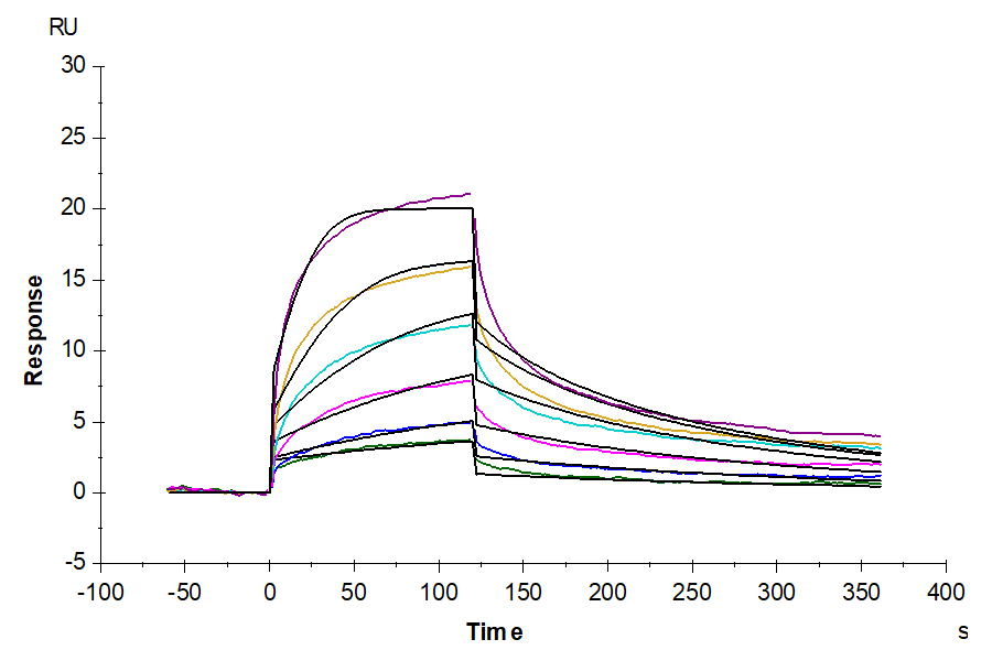 Biotinylated Human Claudin 18.2 Protein-Nanodisc (CLD-HM10NB)