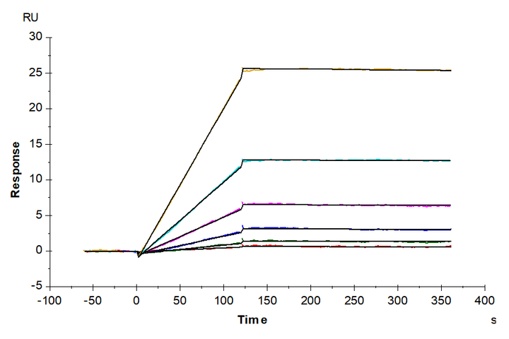 Cynomolgus IL-31 RA Protein (ILR-CM1RA)