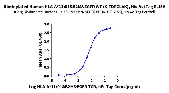 Biotinylated Human HLA-A*11:01&B2M&EGFR WT (KITDFGLAK) Monomer Protein (MHC-HM480B)