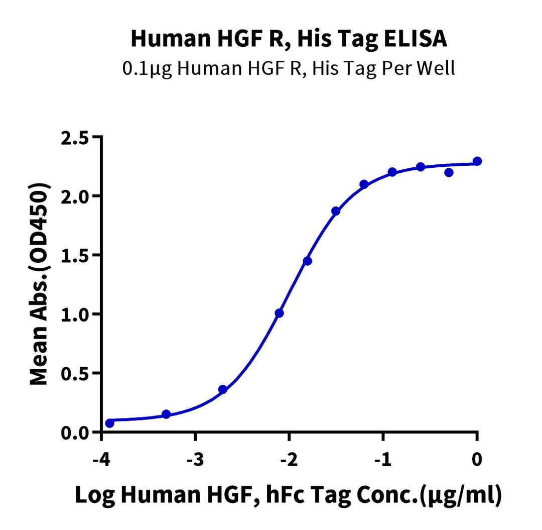 Human HGF R/c-MET Protein (MET-HM101)