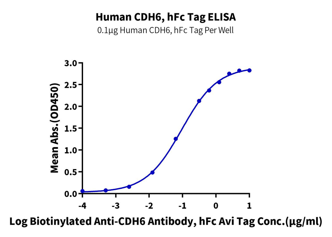 Human CDH6/Cadherin 6 Protein (CDH-HM206)