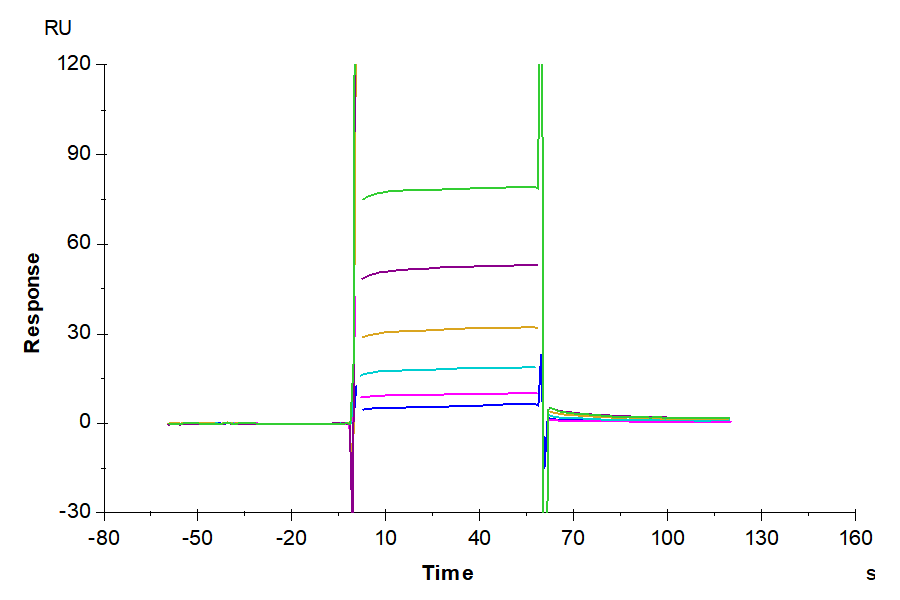 Human IL-20 Protein (IL2-HM220)