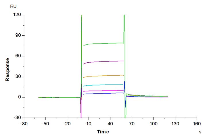 Human IL-20 Protein (IL2-HM220)