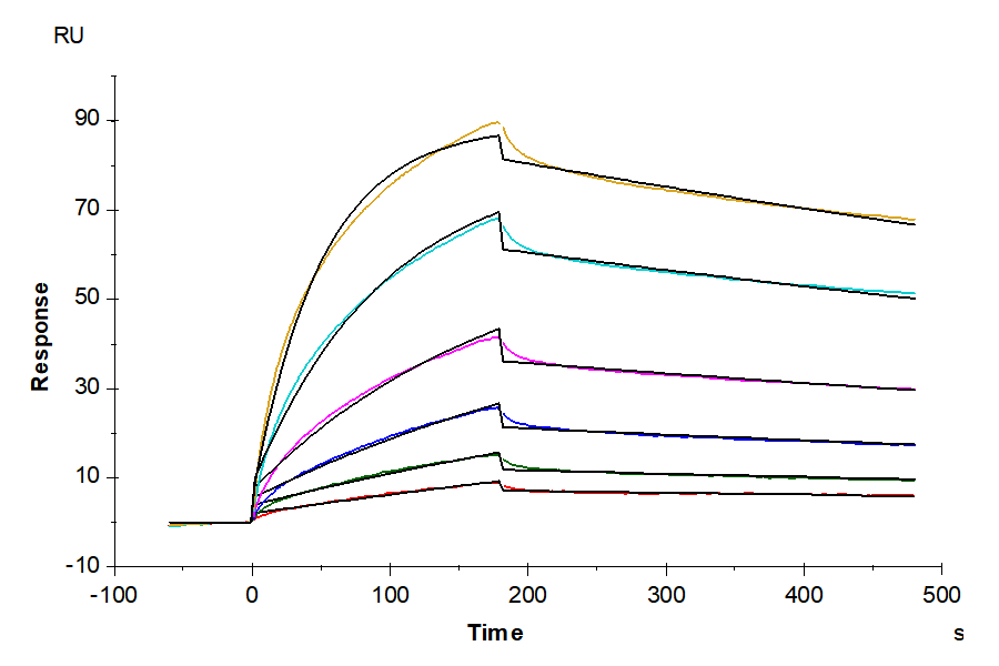 Human Claudin 18.2 VLP (CLD-HE1822)