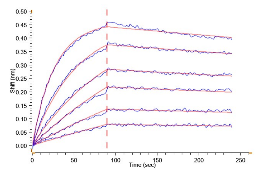 Biotinylated Human IL-22R alpha 1&IL-10R beta Protein (ILR-HM5ABB)