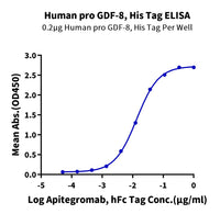 Human pro GDF-8 Protein (GDF-HM118)