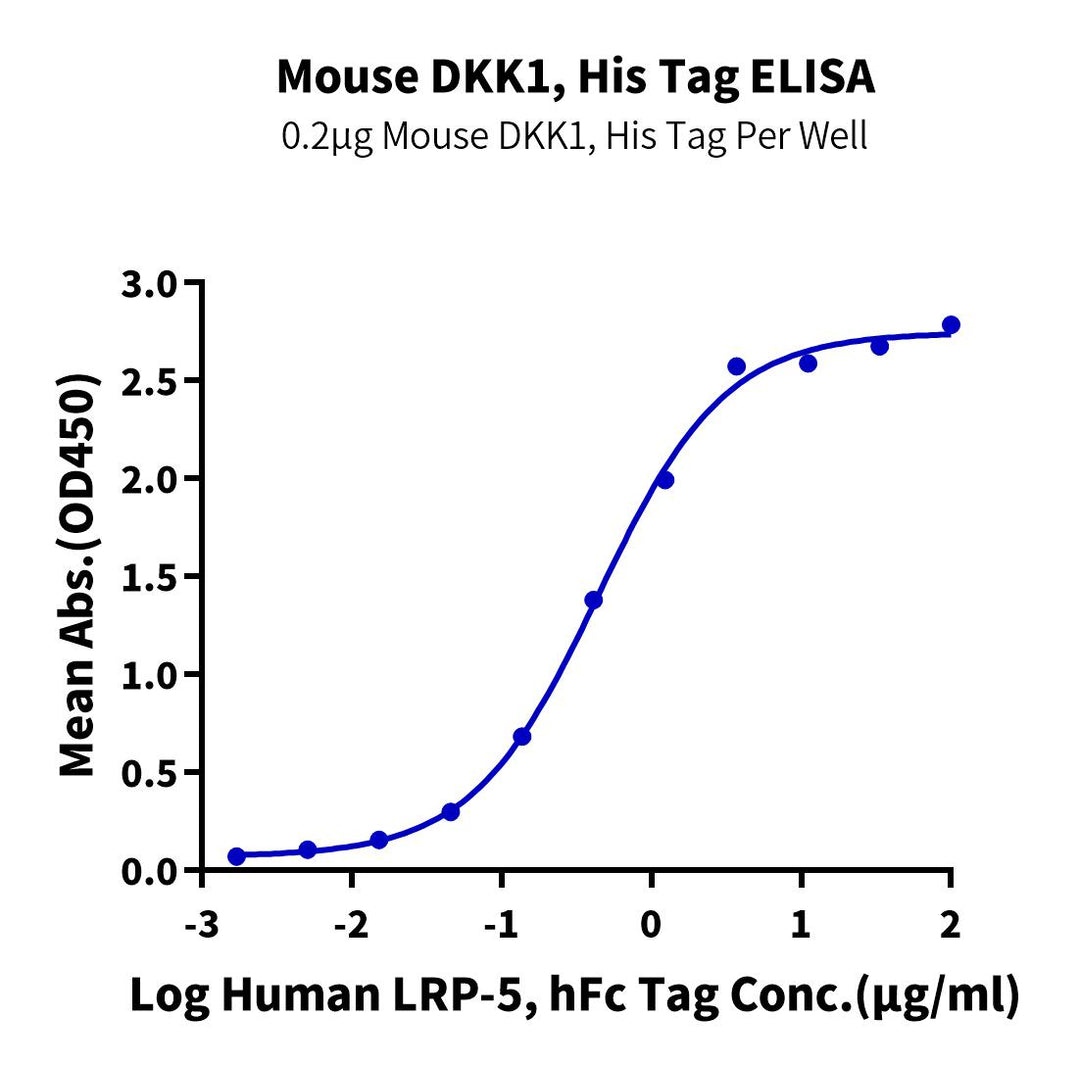 Mouse DKK1 Protein (DKK-MM101)