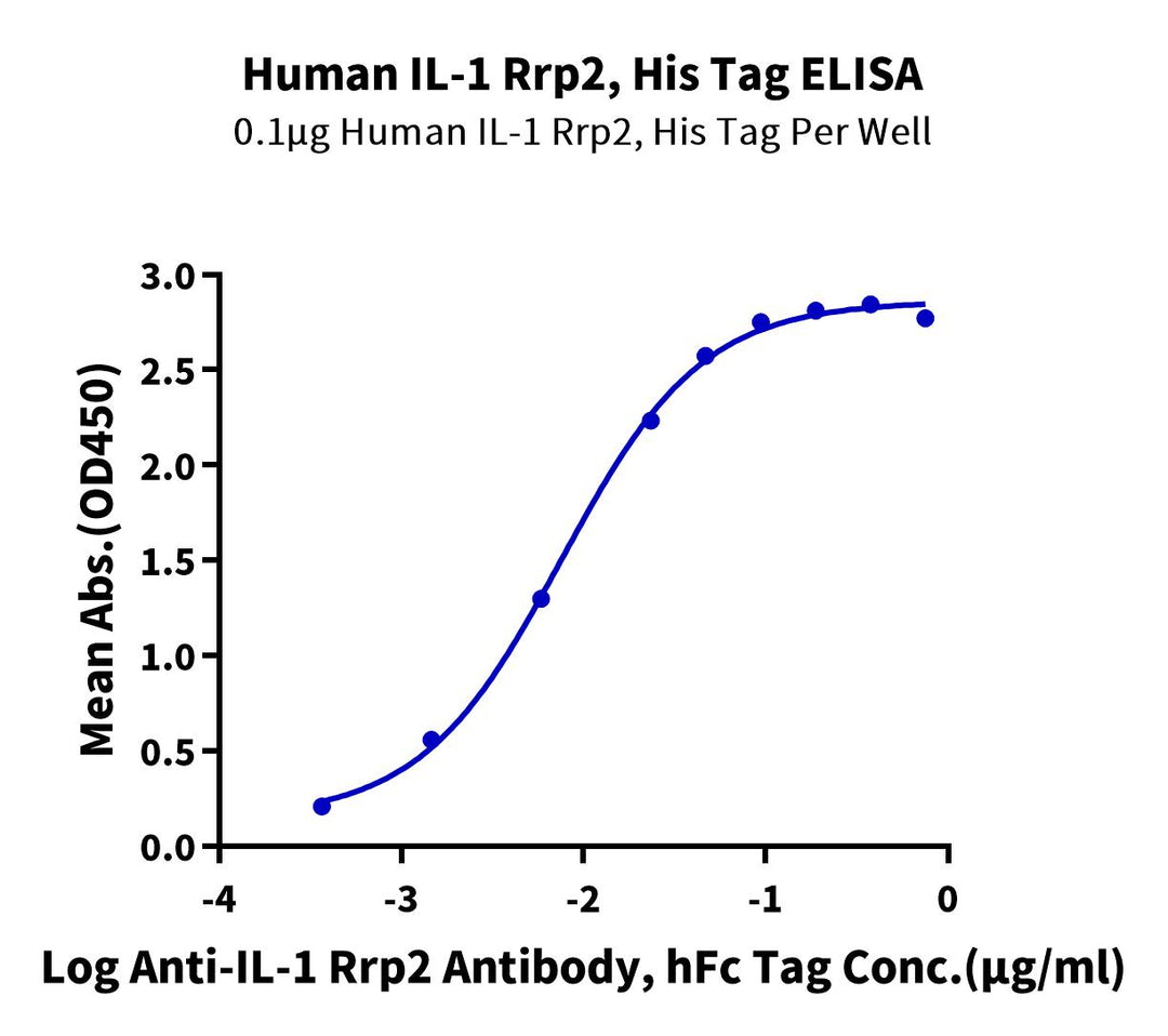 Human IL-1 Rrp2/IL-1 R6 Protein (IL1-HM1L3)
