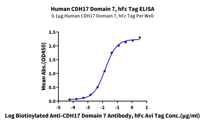Human CDH17/Cadherin 17 Domain 7 Protein (CDH-HM2D3)