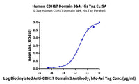 Human CDH17/Cadherin 17 Domain 3&4 Protein (CDH-HM3D3)
