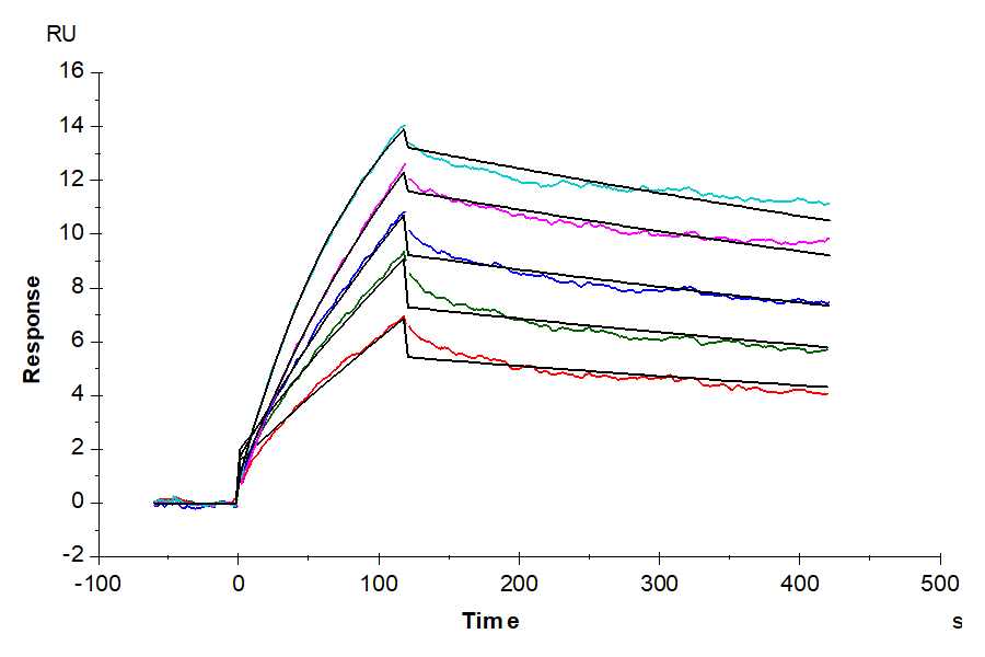 Biotinylated Human NY-ESO-1 TCR&CD3 Complex Nanodisc (TCC-HM101)