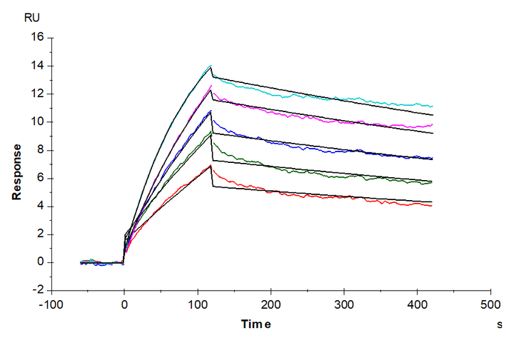 Biotinylated Human NY-ESO-1 TCR&CD3 Complex Nanodisc (TCC-HM101)