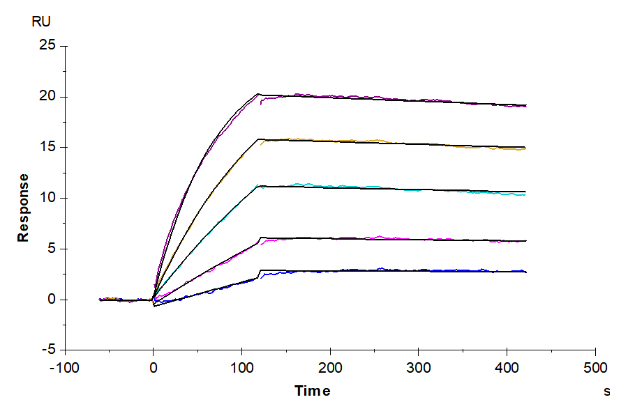 Biotinylated Human KRAS G12D TCR&CD3 Complex Nanodisc (TCC-HM102)