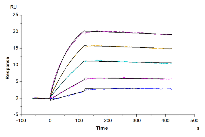 Biotinylated Human KRAS G12D TCR&CD3 Complex Nanodisc (TCC-HM102)