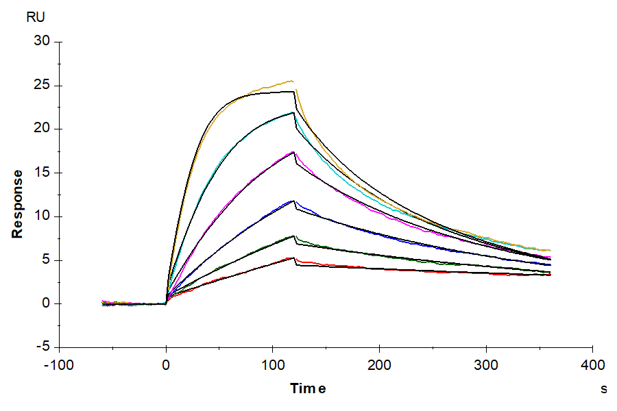 Biotinylated Human NY-ESO-1 TCR&CD3 Complex Nanodisc (TCC-HM101)