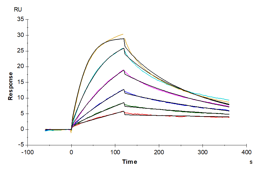 Biotinylated Human KRAS G12D TCR&CD3 Complex Nanodisc (TCC-HM102)