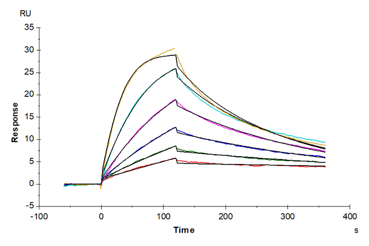 Biotinylated Human KRAS G12D TCR&CD3 Complex Nanodisc (TCC-HM102)