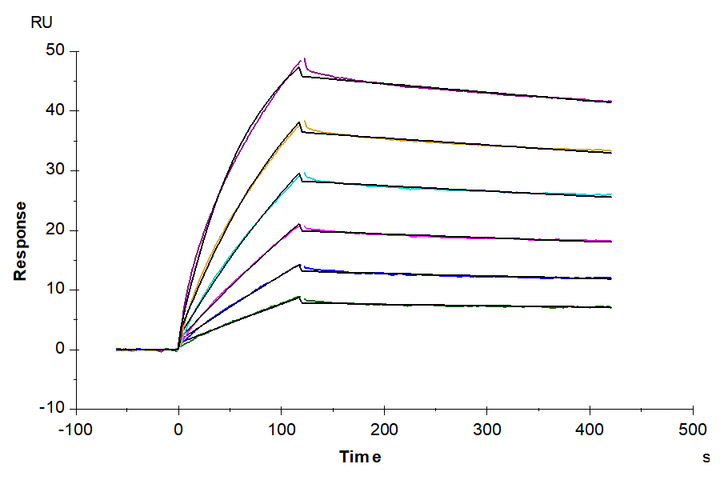 Biotinylated Human GIPR Nanodisc (GIP-HM14RNB)