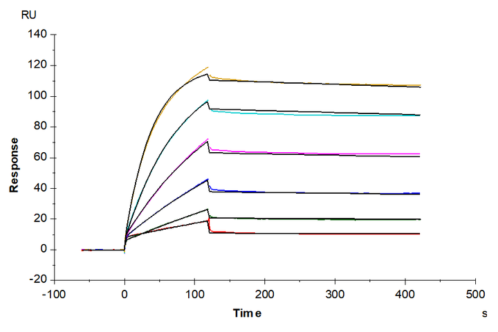 Biotinylated Human CD133 Nanodisc (CD1-HM13NB)