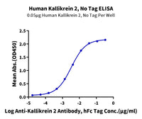 Human Kallikrein 2/KLK2 Protein (active form), Ultra Low Endotoxin (KLK-HM002-UL)