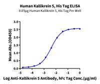 Human Kallikrein 5/KLK5 Protein (active form) (KLK-HM605)
