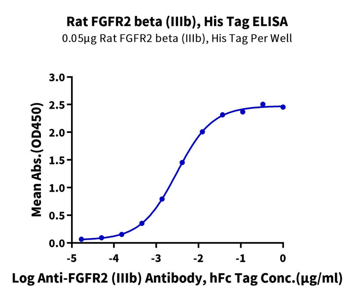Rat FGFR2 beta (IIIb) Protein (FGF-RM1BB)