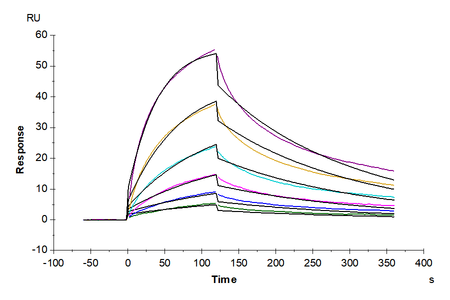 Biotinylated Human CCR9 Nanodisc (CCR-HM19NB)