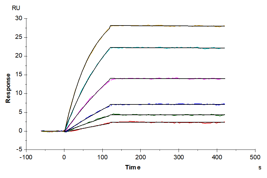 Biotinylated Human CXCR5 Nanodisc (CXC-HM1RNB)