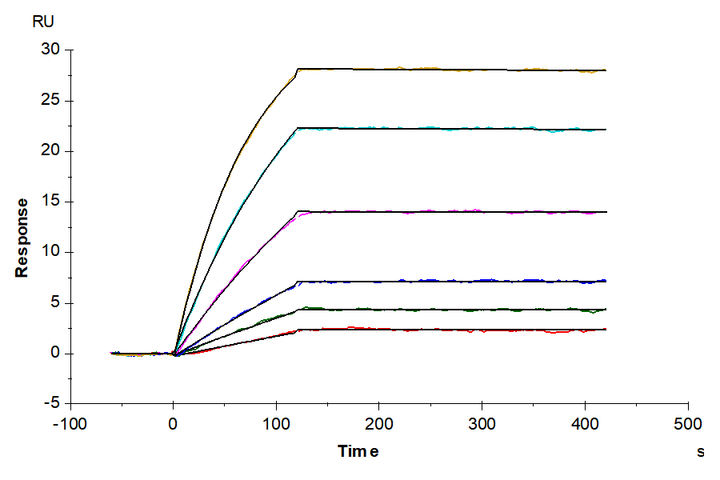 Biotinylated Human CXCR5 Nanodisc (CXC-HM1RNB)