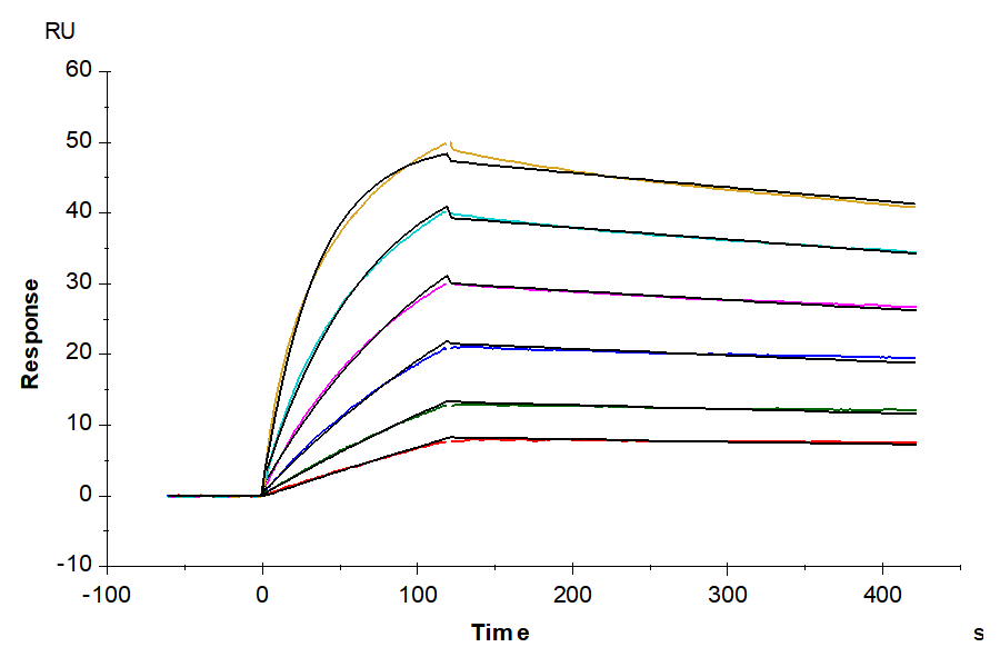 Biotinylated Human CXCR7 Nanodisc (CXR-HM17NB)