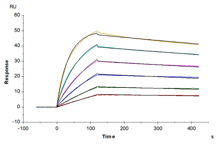 Biotinylated Human CXCR7 Nanodisc (CXR-HM17NB)