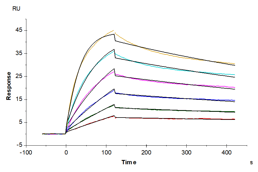 Biotinylated Human CCR7 Nanodisc (CCR-HM17NB)