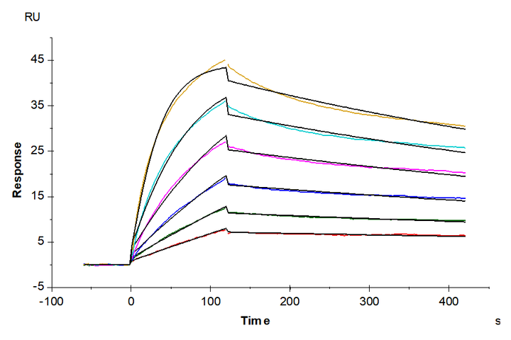 Biotinylated Human CCR7 Nanodisc (CCR-HM17NB)