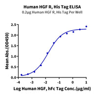 Human HGF R/c-MET Protein (MET-HM105)