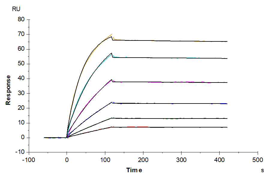 Biotinylated Human SLC6A17 Nanodisc (SLC-HM17NB)