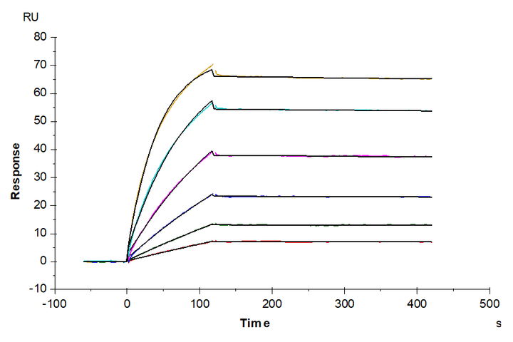 Biotinylated Human SLC6A17 Nanodisc (SLC-HM17NB)