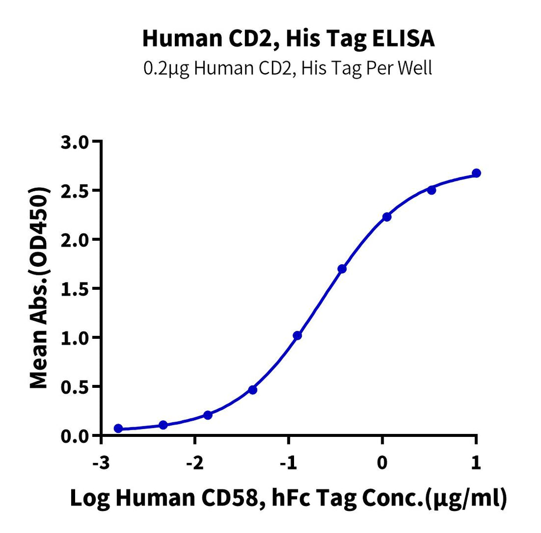 Human CD2/SRBC Protein (CD2-HM12D)