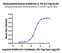 Biotinylated Human Kallikrein 2/KLK2 Protein (active form) (KLK-HM402B)