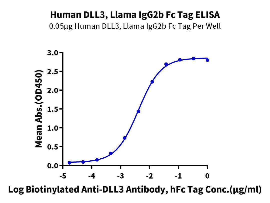 Human DLL3 Protein (DLL-HM603)
