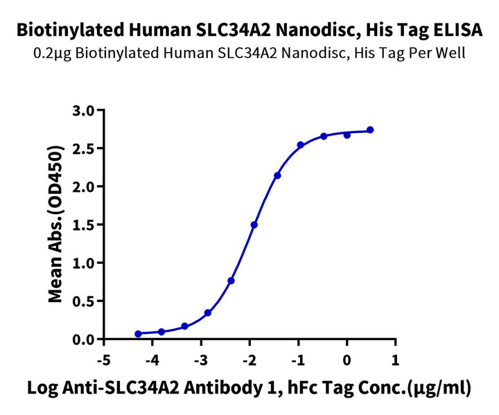 Biotinylated Human NaPi2b/SLC34A2 Nanodisc (SLC-HM1ANB)