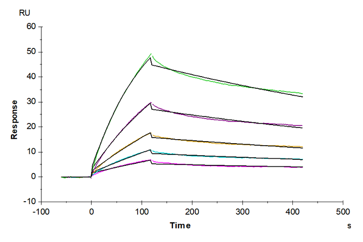 Biotinylated Human Claudin 3 Nanodisc (CLD-HM13NB)