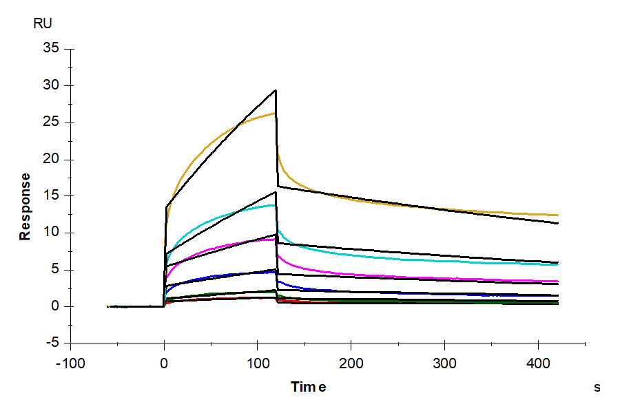 Biotinylated Human LPAR1 Nanodisc (LAR-HM10NB)