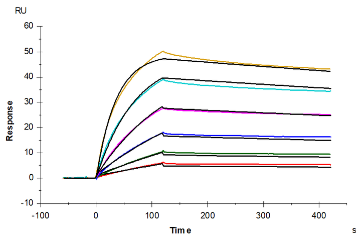 Biotinylated Human NaPi2b/SLC34A2 Nanodisc (SLC-HM1ANB)