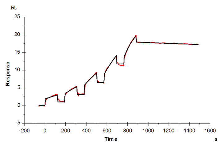 Biotinylated Human SLC2A4 VLP (SLC-HM0A4B)