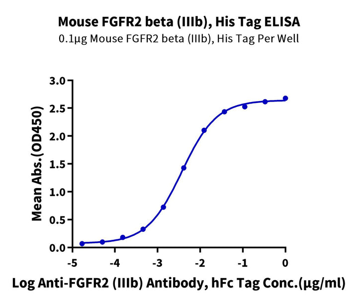 Mouse FGFR2 beta (IIIb) Protein (FGF-MM1BB)